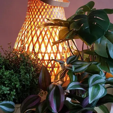 Apartamento - *